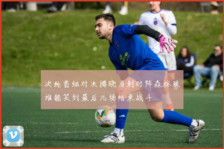 次轮首组对决揭晓马刺对阵森林狼谁能笑到最后几场结束战斗